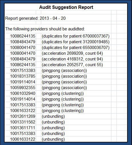 Audit Report